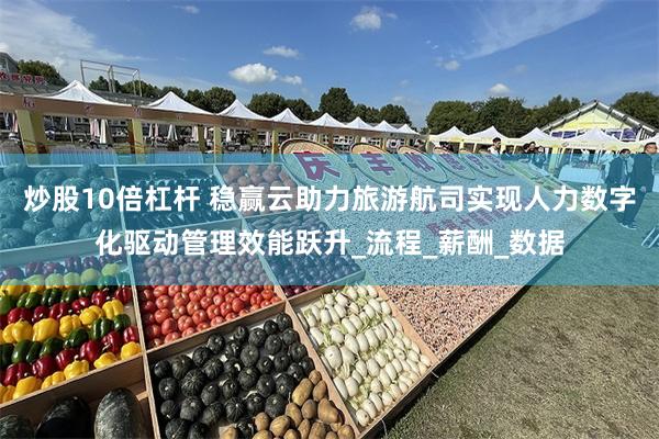 炒股10倍杠杆 稳赢云助力旅游航司实现人力数字化驱动管理效能跃升_流程_薪酬_数据