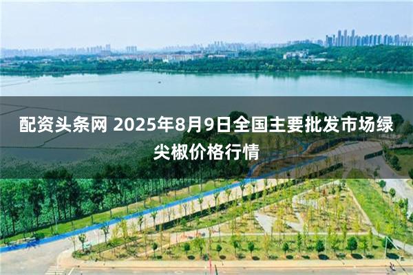 配资头条网 2025年8月9日全国主要批发市场绿尖椒价格行情