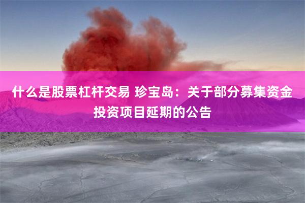 什么是股票杠杆交易 珍宝岛：关于部分募集资金投资项目延期的公告