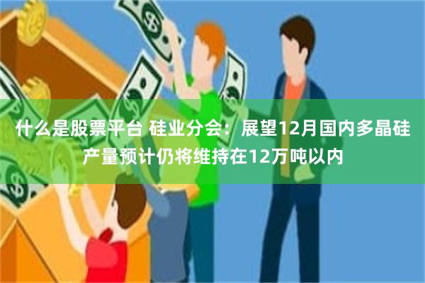 什么是股票平台 硅业分会:展望12月国内多晶硅产量预计仍将维持在12万吨以内