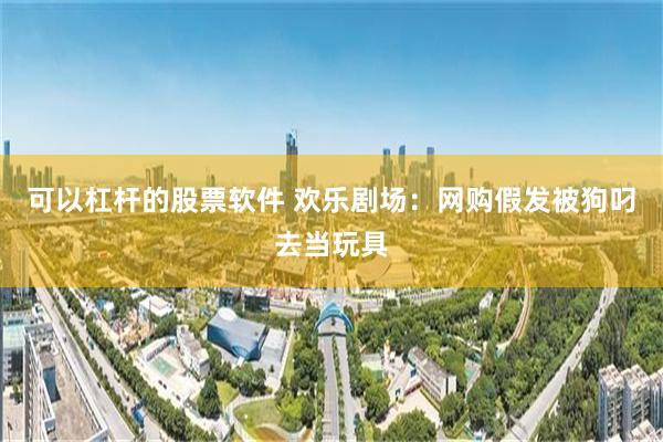 可以杠杆的股票软件 欢乐剧场:网购假发被狗叼去当玩具